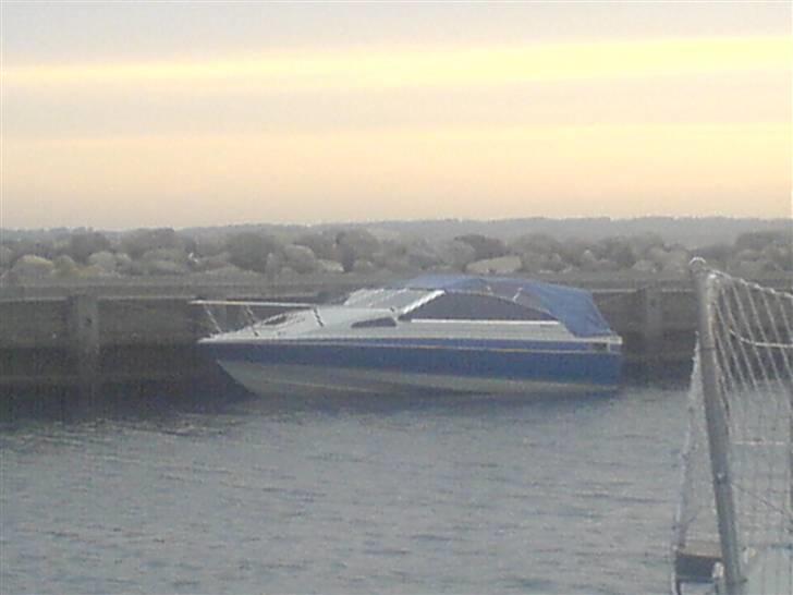 Bayliner 1952 capri  billede 10