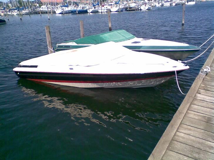 Maxum 1900 SSL billede 5