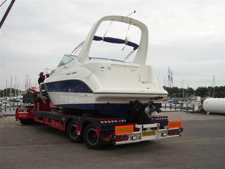 Bayliner 275 SB billede 9