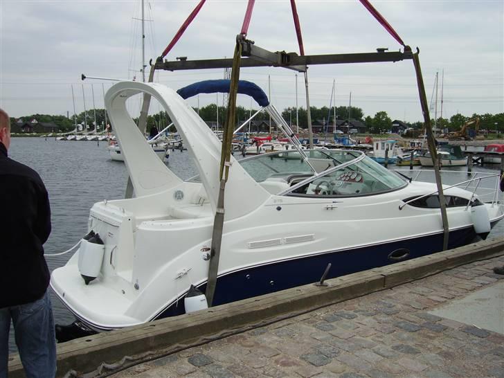 Bayliner 275 SB billede 10