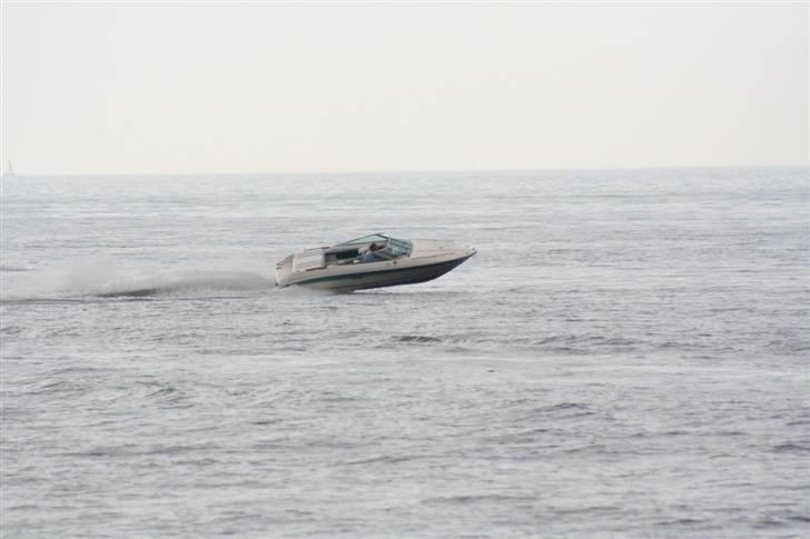 Sea Ray 170 CB billede 5