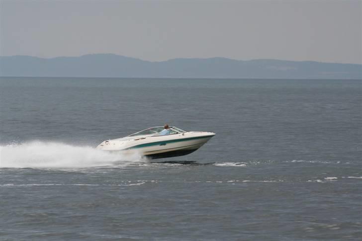 Sea Ray 170 CB billede 6