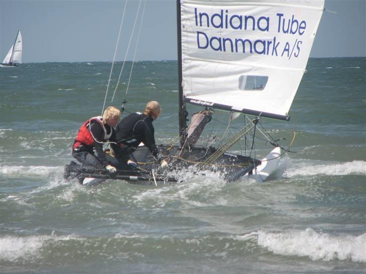 Hobie Cat hobie 16 spi billede 7