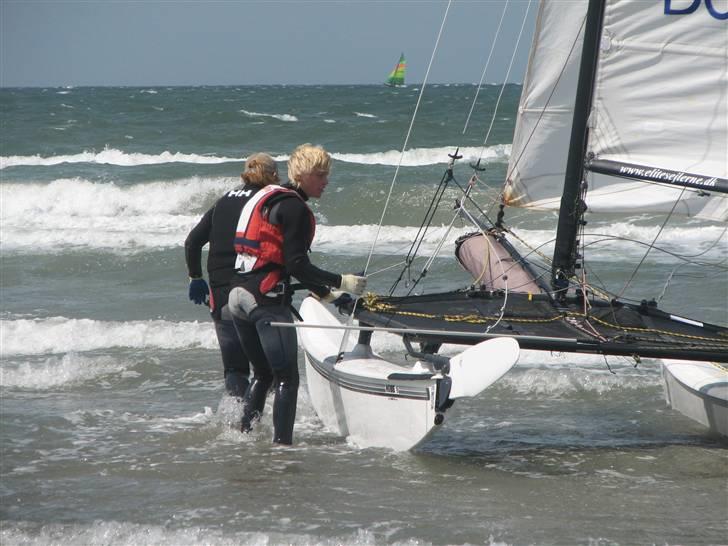 Hobie Cat hobie 16 spi billede 8