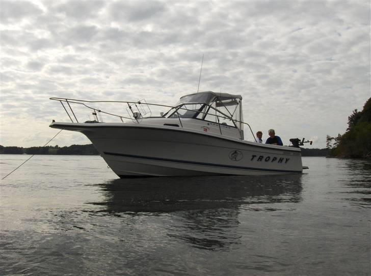 Bayliner Trophy 2352 - Den Første Sejl Tur billede 1