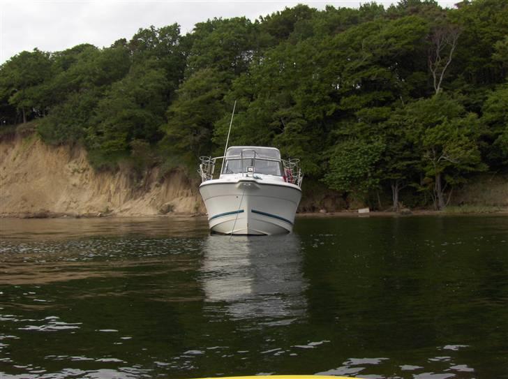 Bayliner Trophy 2352 - Ligger For Anker Ved Fænøsund billede 6