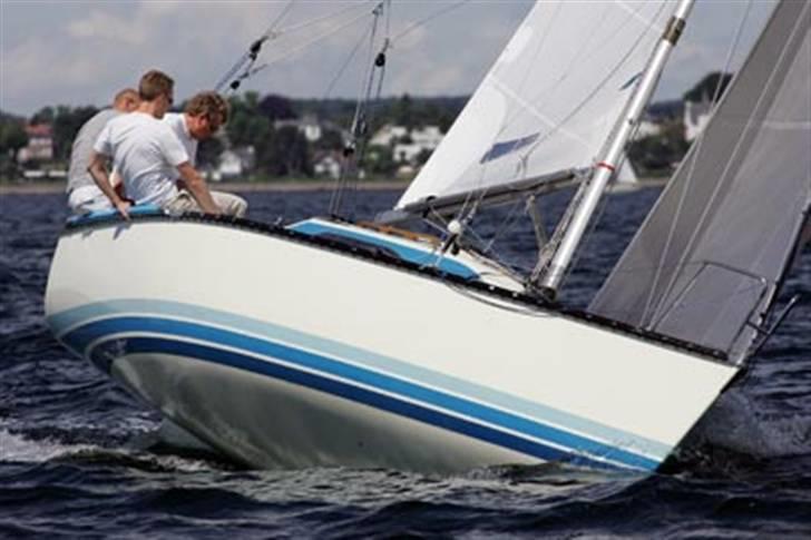 X-Yachts X79 DEN 373 Blå Soldat billede 1