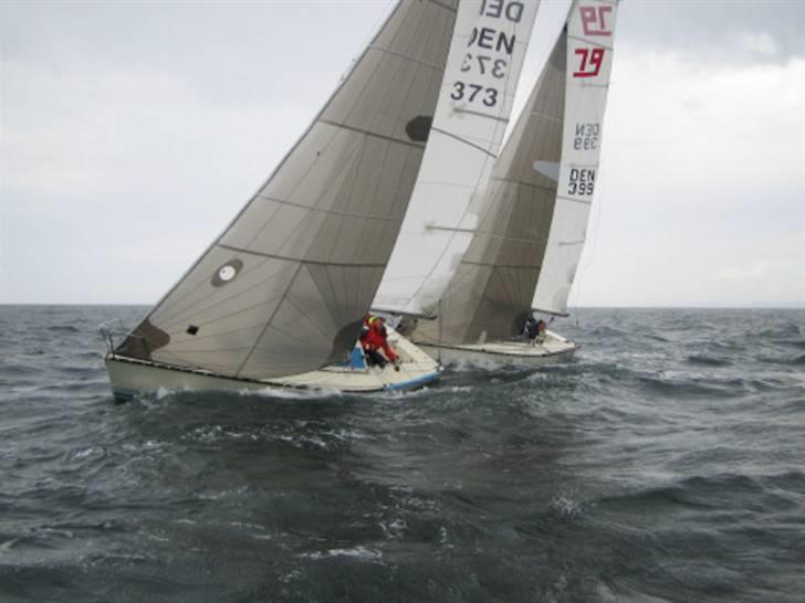 X-Yachts X79 DEN 373 Blå Soldat billede 3