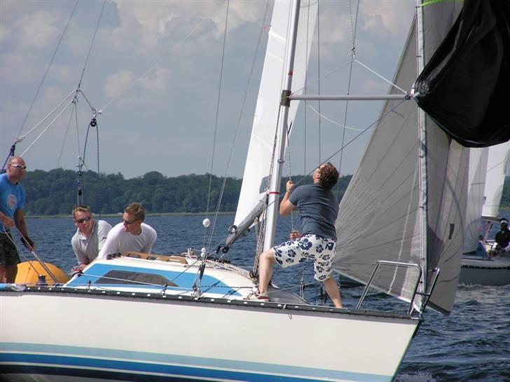 X-Yachts X79 DEN 373 Blå Soldat billede 4