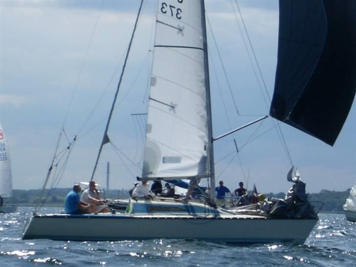 X-Yachts X79 DEN 373 Blå Soldat billede 5
