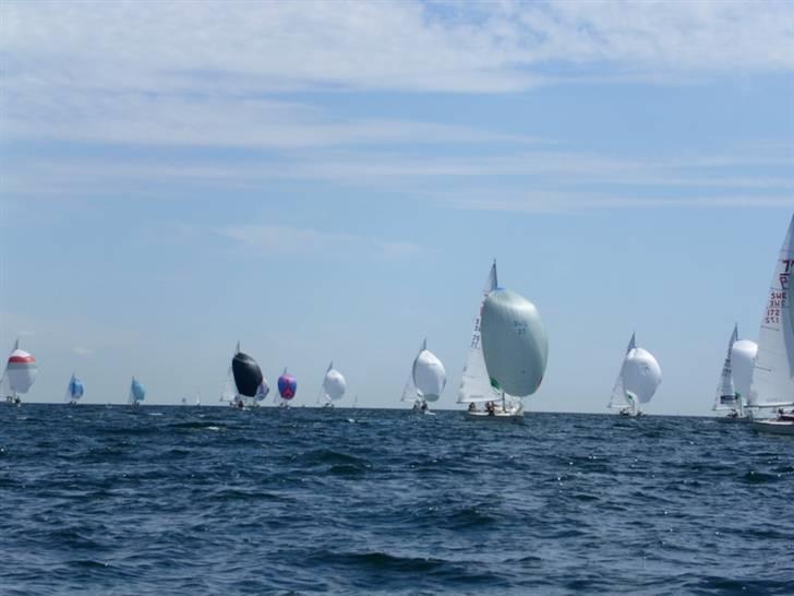 X-Yachts X79 DEN 373 Blå Soldat billede 6
