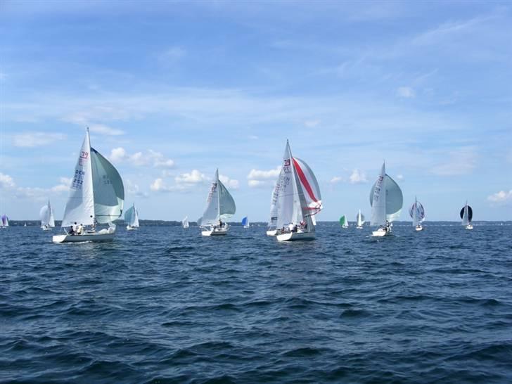 X-Yachts X79 DEN 373 Blå Soldat billede 7