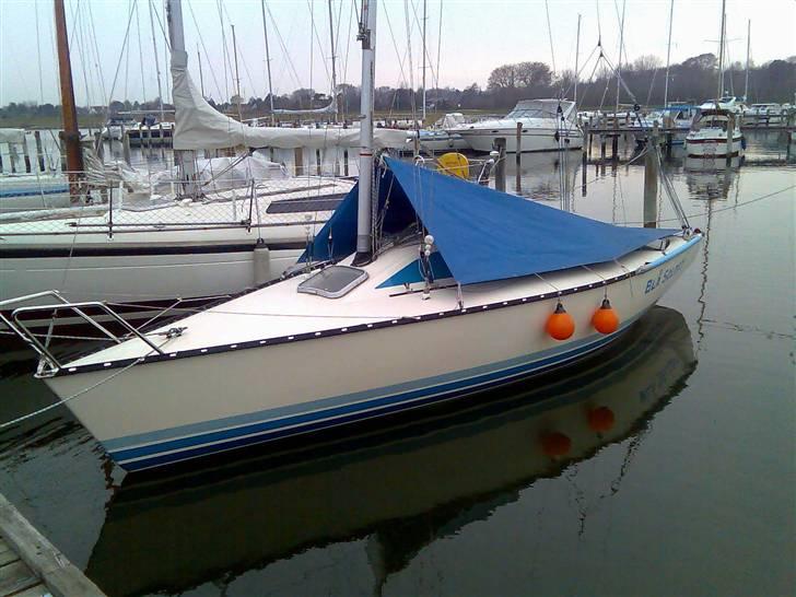 X-Yachts X79 DEN 373 Blå Soldat billede 9