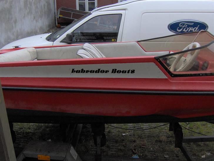 Labrador 13,6 SOLGT billede 3