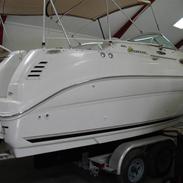 Sea Ray 240 Sundancer