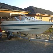 Campion Allante 535