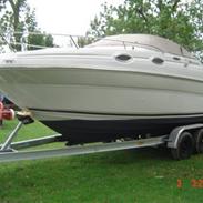 Sea Ray 240 Sundancer