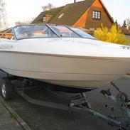 Wellcraft excel 18 sl