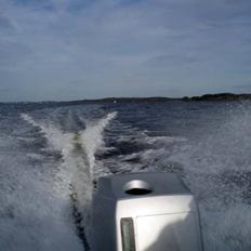Trifoil 70