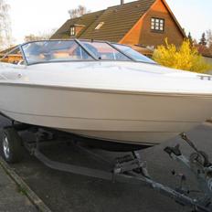 Wellcraft excel 18 sl