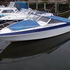 Wellcraft bowrider