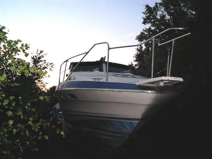 Bayliner 3255 Avanti - hentet i have i Madsneø billede 4