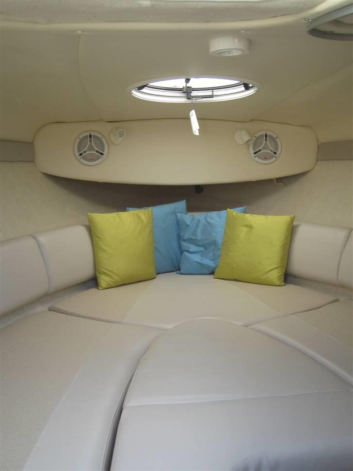 Maxum 2400 SC3 billede 1