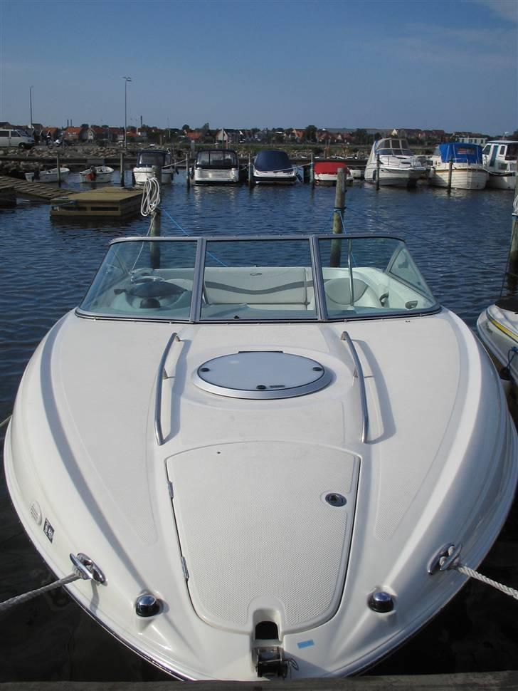 Maxum 2400 SC3 billede 4