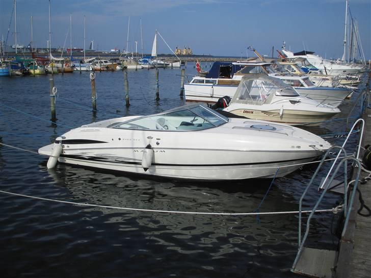 Maxum 2400 SC3 billede 5