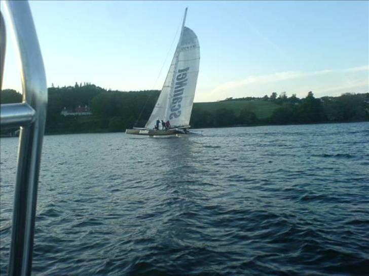 Flerskrogsbåd KATAMARAN billede 3