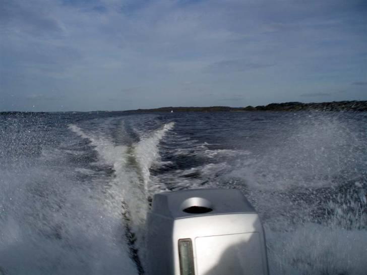 Trifoil 70 billede 3