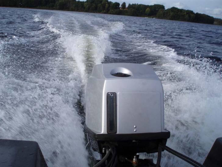 Trifoil 70 billede 4
