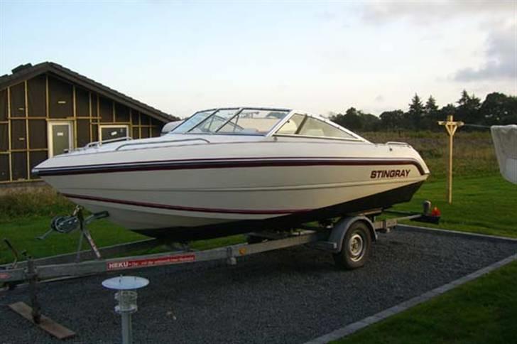 Stingray 537 zpx billede 1