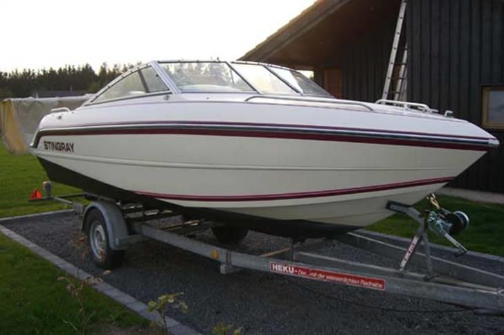 Stingray 537 zpx billede 2