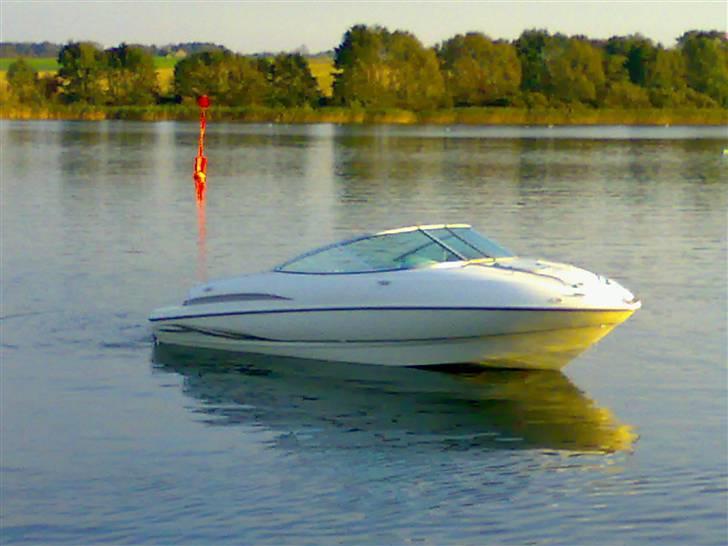 Maxum 1900 SC, 300hk V8 billede 14