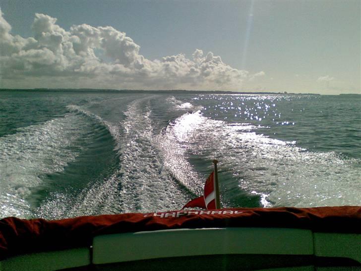 Chaparral 215 SSI  billede 9