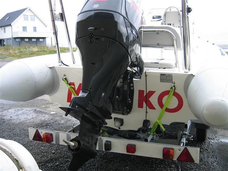 Rib Mako billede 11