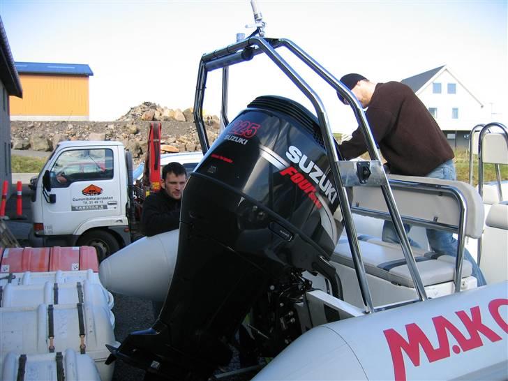 Rib Mako billede 19