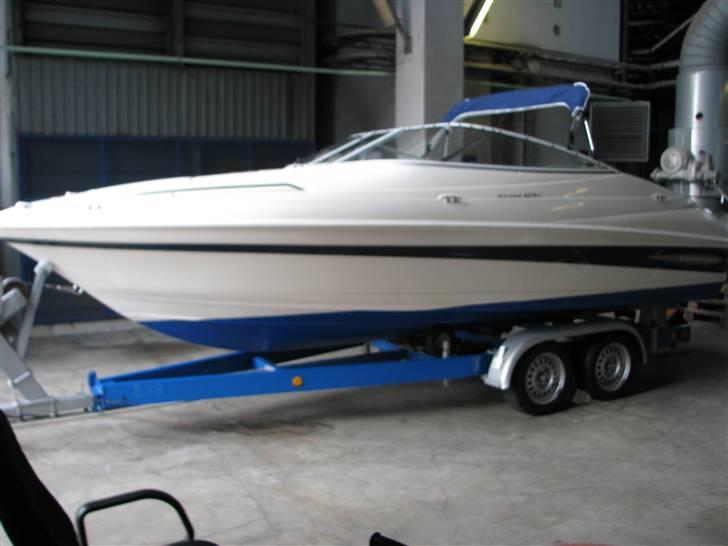 Campion Allante 625 VRI cc(SOLGT) billede 1