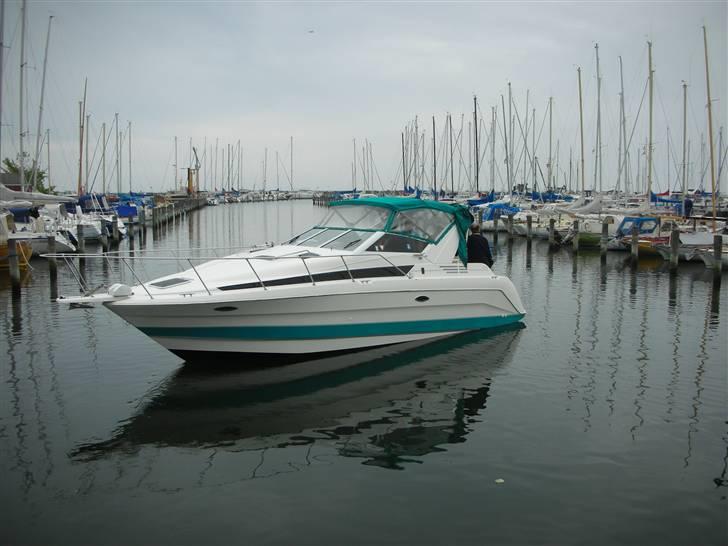 Bayliner 3055 billede 6