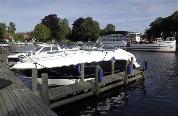 Chaparral Chaparral Signature 250 - her ligger hun så. med Hjelen som baggrund. billede 3