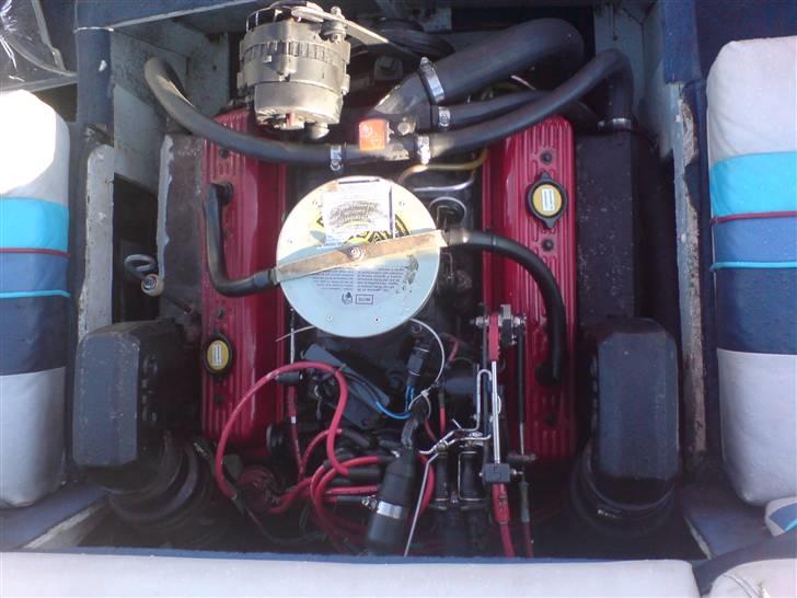 Bayliner Capri 1950 billede 4