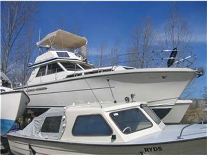 Princess 37 fly billede 3