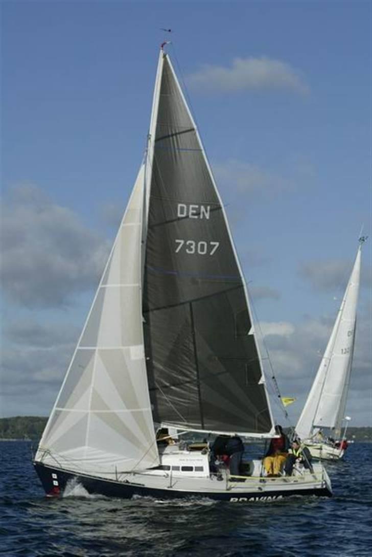 Z-Yacht MG 26 billede 4
