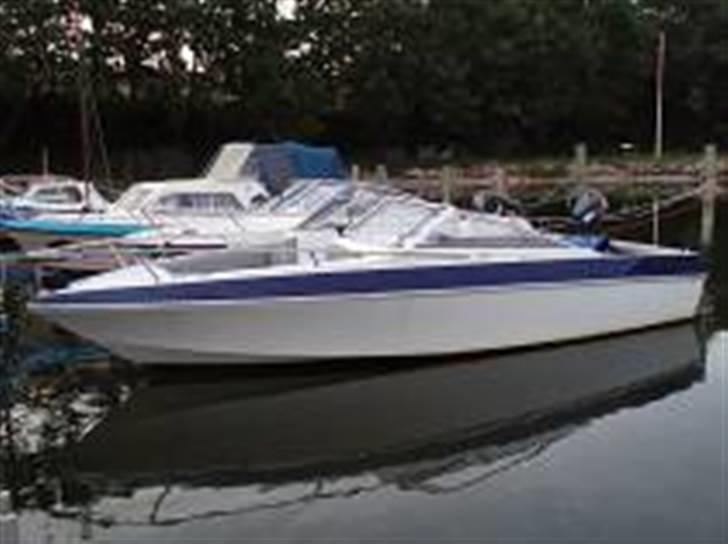 Wellcraft bowrider - Uden tøj billede 2