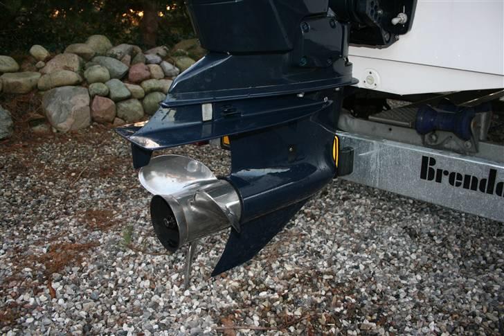 Campion Chase 580 billede 7