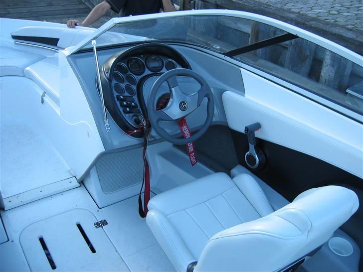 Campion Chase 580 - Den gamle spand billede 11