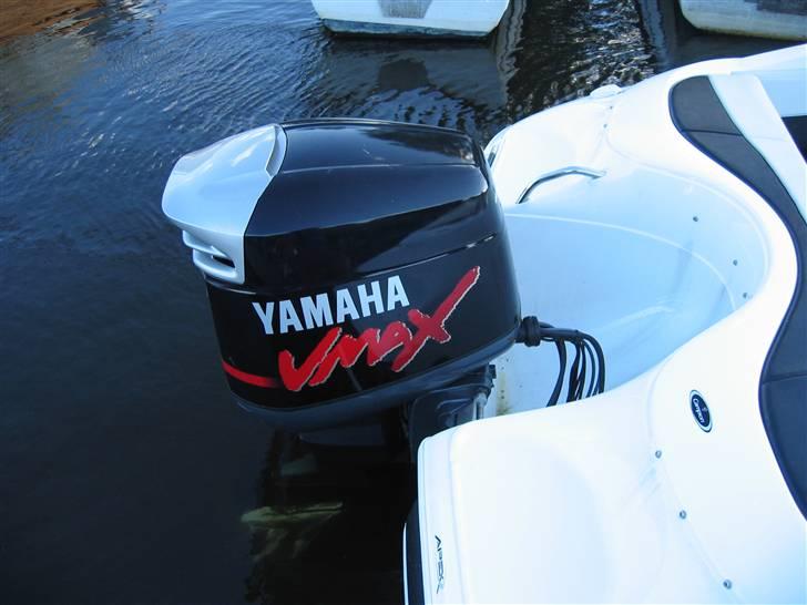 Campion Chase 580 - Den gamle spand billede 12