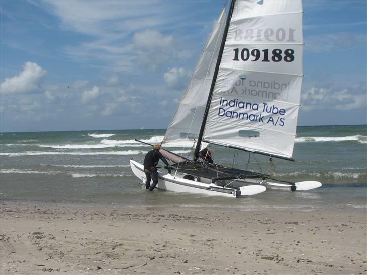 Hobie Cat hobie 16 spi billede 10