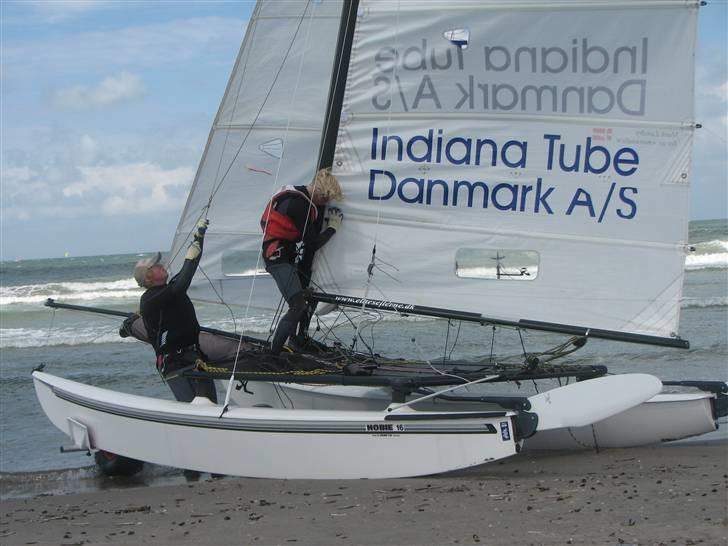 Hobie Cat hobie 16 spi billede 11